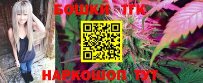 тгк Шебекино