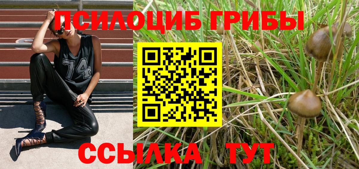 Галлюциногенные грибы Magic Shrooms Батайск