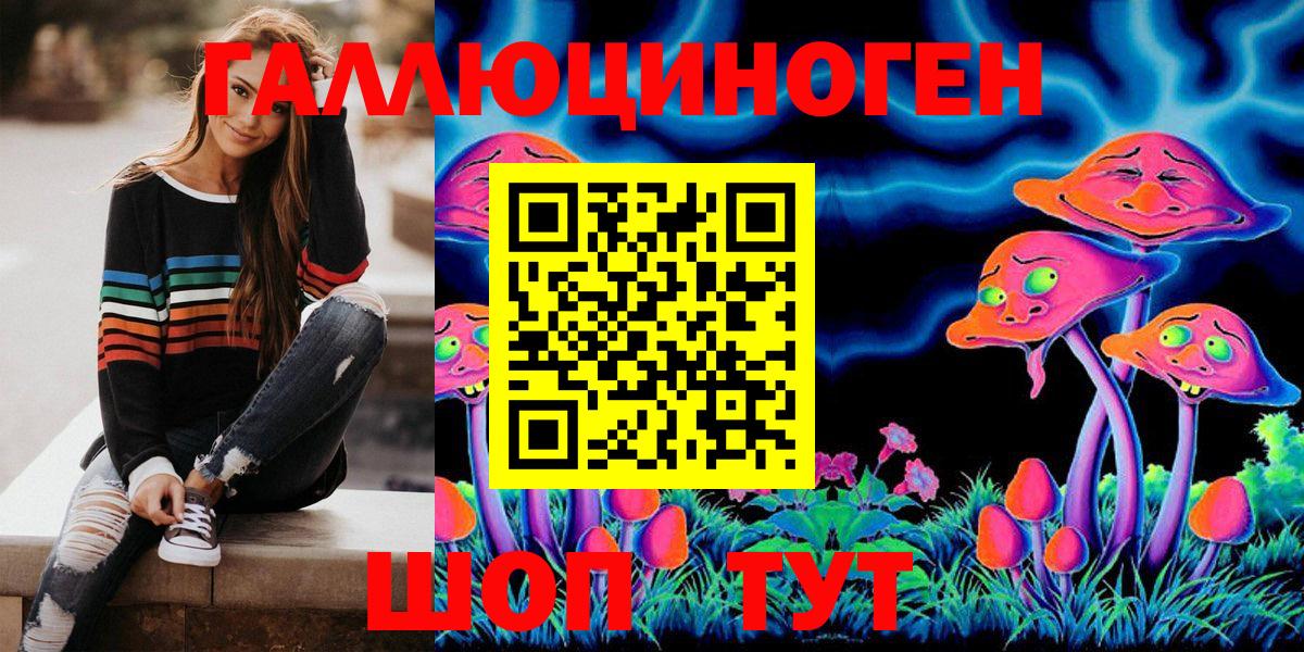 Батайск  Псилоцибиновые грибы Cubensis  Вход с VPN 